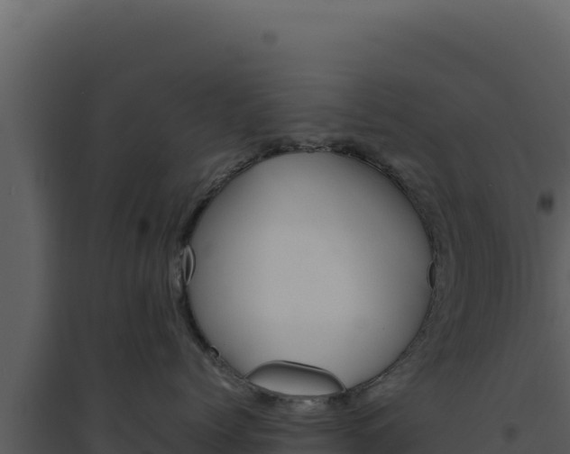 X0000094820768200711161028