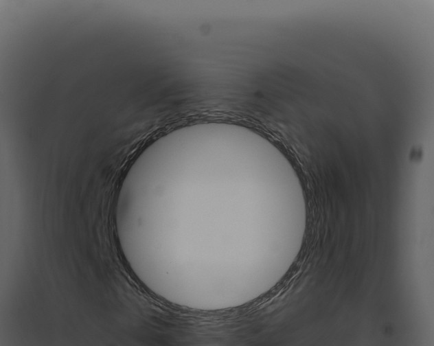 X0000094820769200711161027