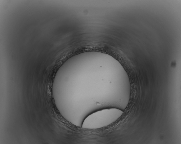 X0000094820770200711161027