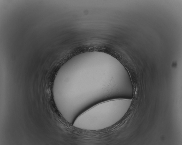 X0000094820771200711161027