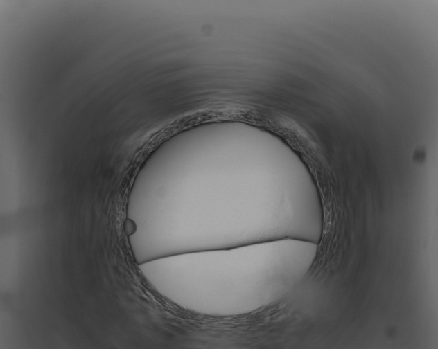 X0000094820773200711161027