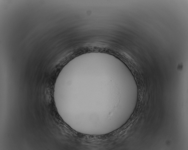 X0000094820774200711161027