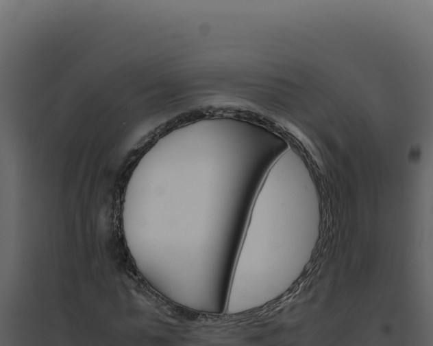 X0000094820775200711161027