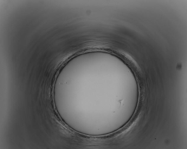 X0000094820777200711161027