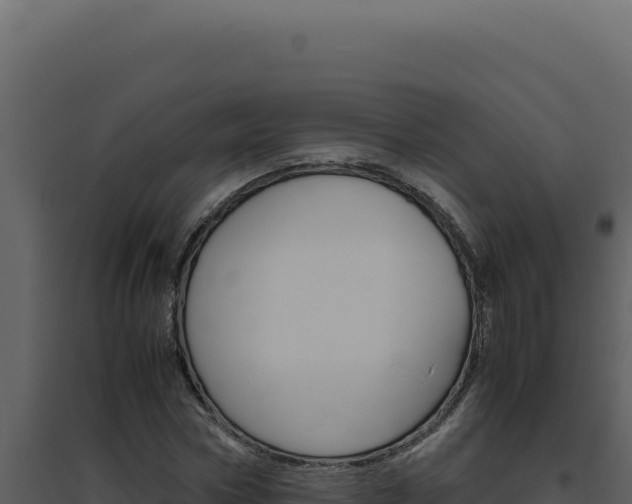 X0000094820778200711161027