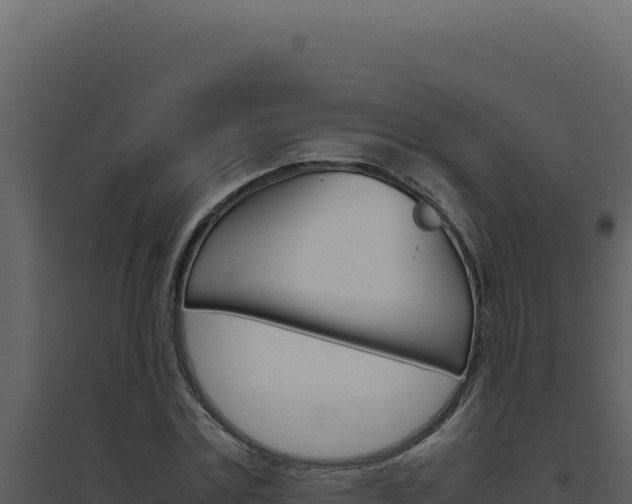 X0000094820779200711161027
