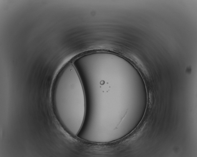 X0000094820780200711161027