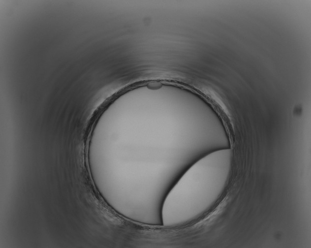 X0000094820781200711161027
