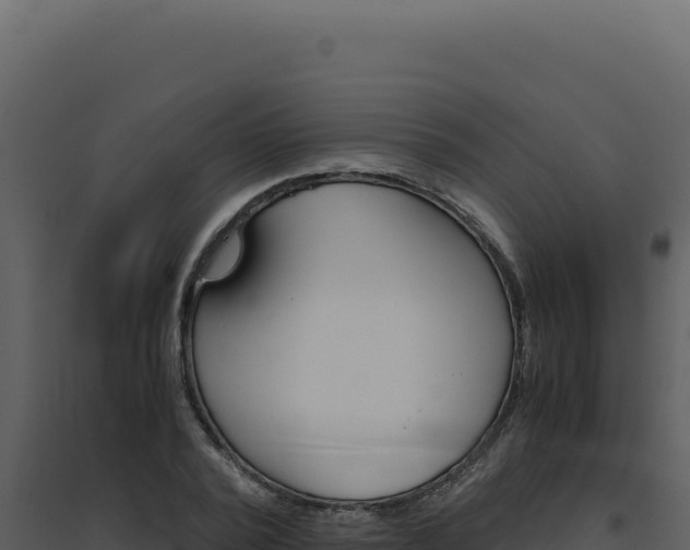 X0000094820784200711161027