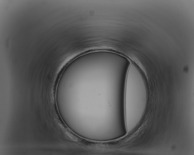 X0000094820789200711161027