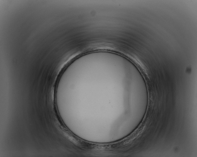X0000094820790200711161027