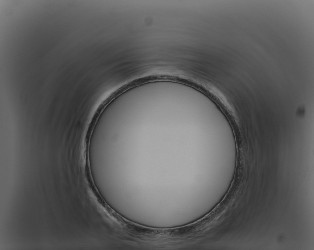X0000094820791200711161027