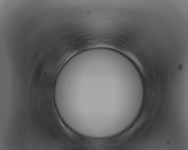 X0000094820793200711161027