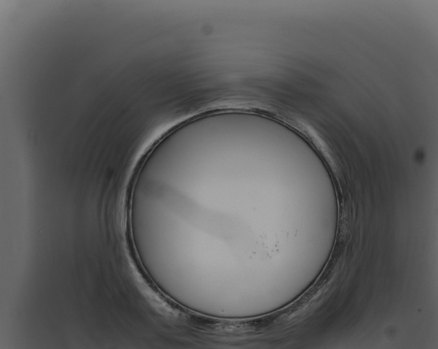 X0000094820795200711161027