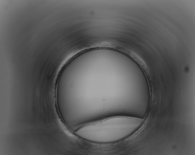 X0000094820800200711161027