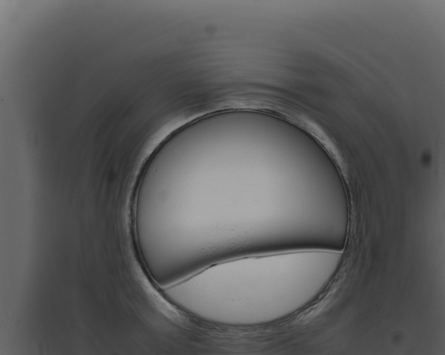 X0000094820803200711161027