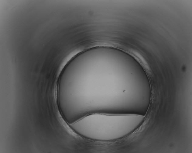 X0000094820804200711161027
