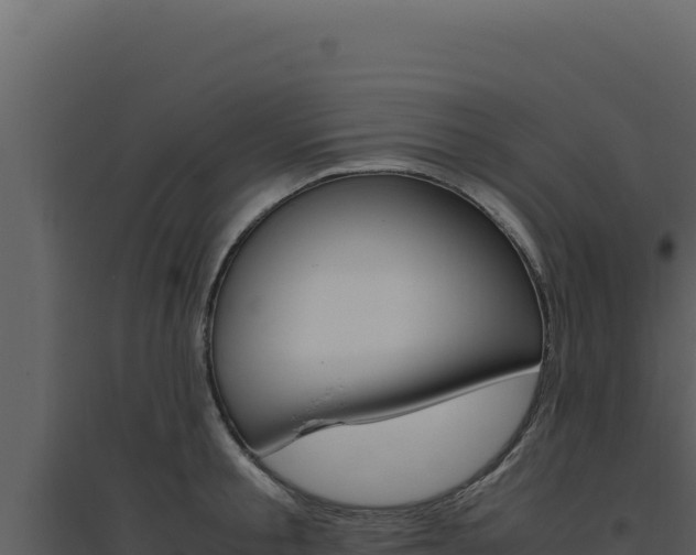 X0000094820805200711161027
