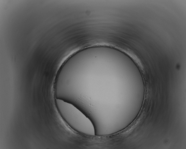 X0000094820806200711161027