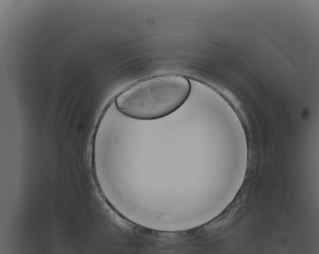 X0000094820807200711161027