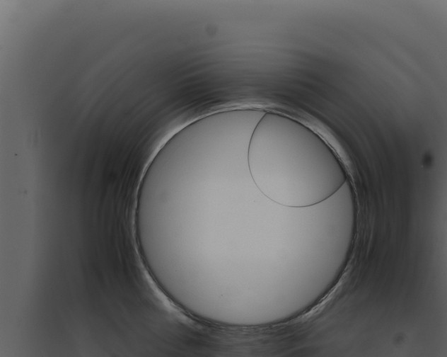 X0000094820810200711161027