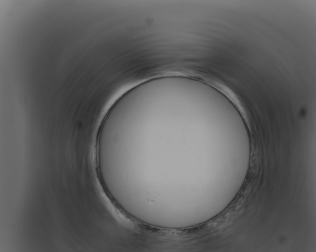 X0000094820811200711161027