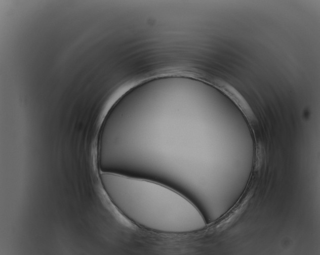 X0000094820812200711161027
