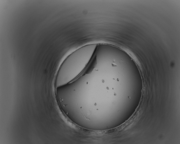 X0000094820813200711161027
