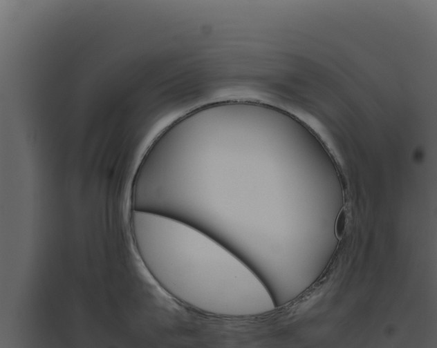 X0000094820815200711161026