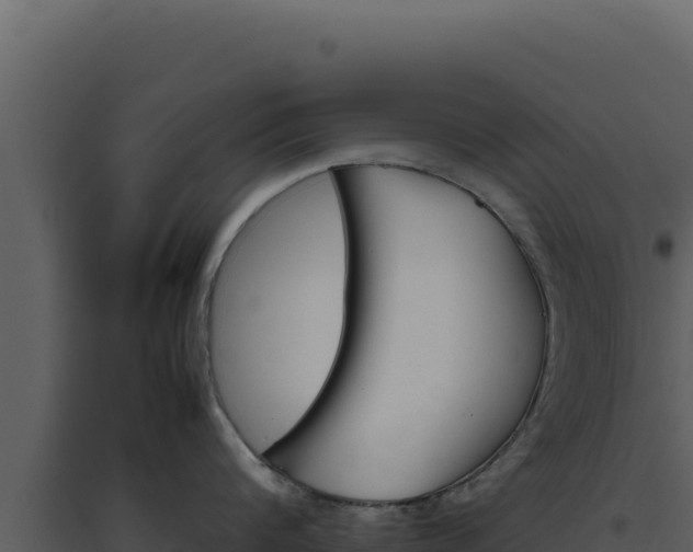 X0000094820816200711161026
