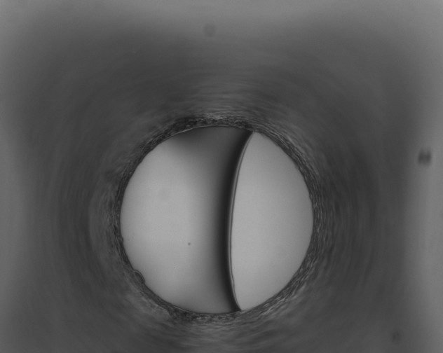 X0000094820817200711161025