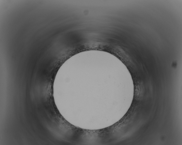 X0000094820820200711161026