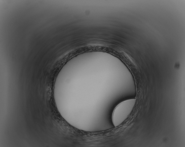 X0000094820821200711161026