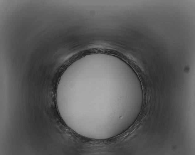 X0000094820822200711161026