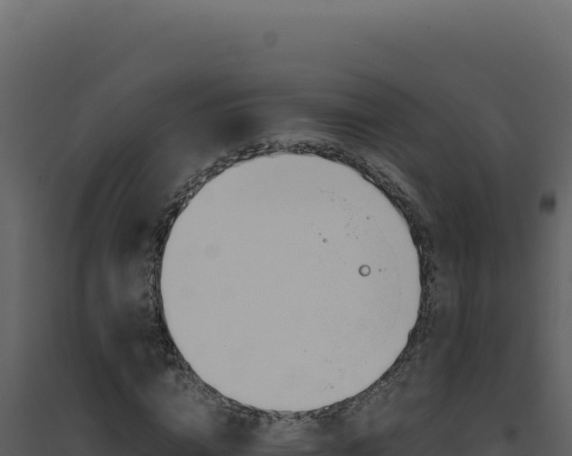 X0000094820824200711161026