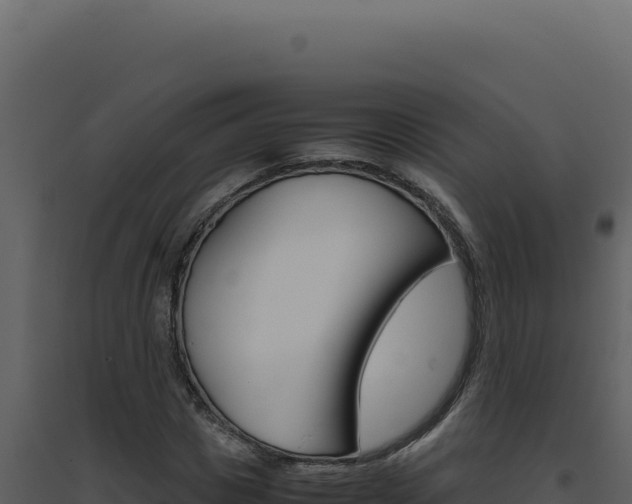 X0000094820825200711161026