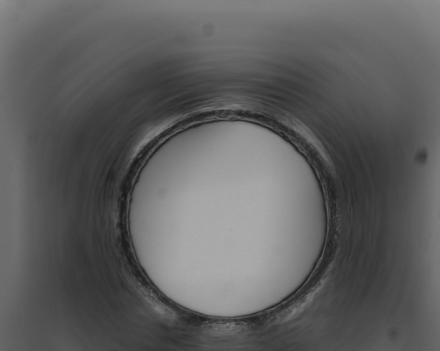 X0000094820826200711161026