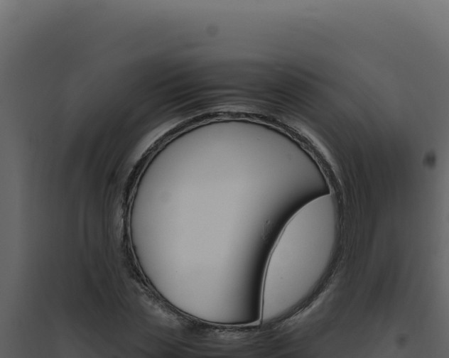 X0000094820829200711161026
