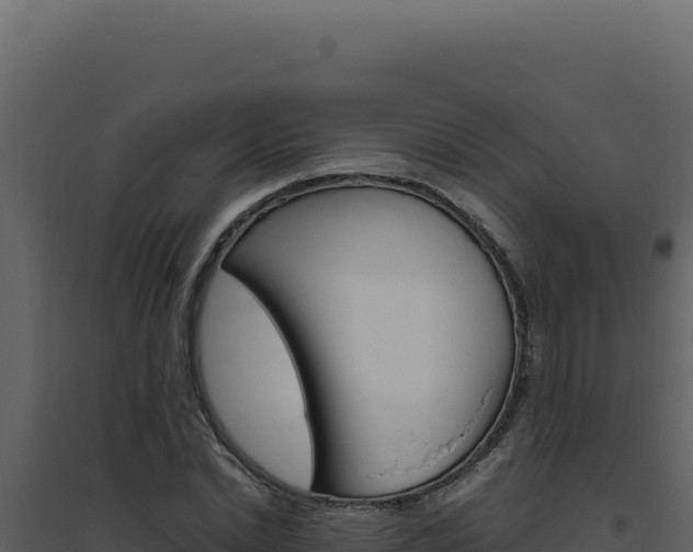 X0000094820830200711161026