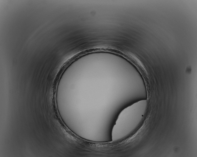 X0000094820831200711161026