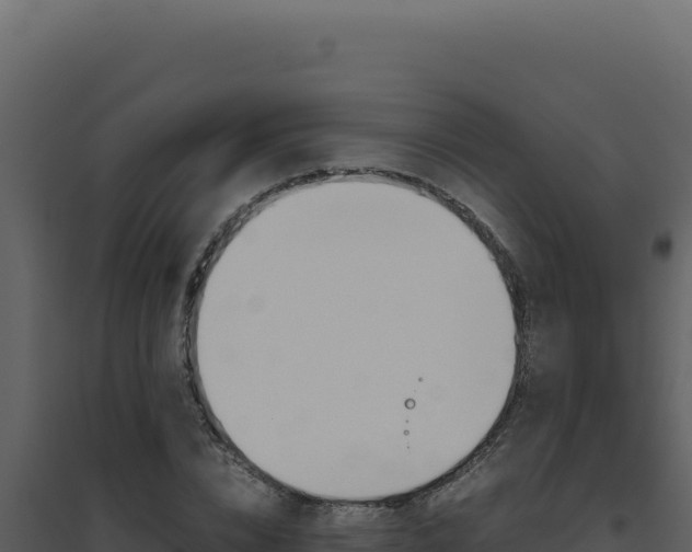 X0000094820832200711161026