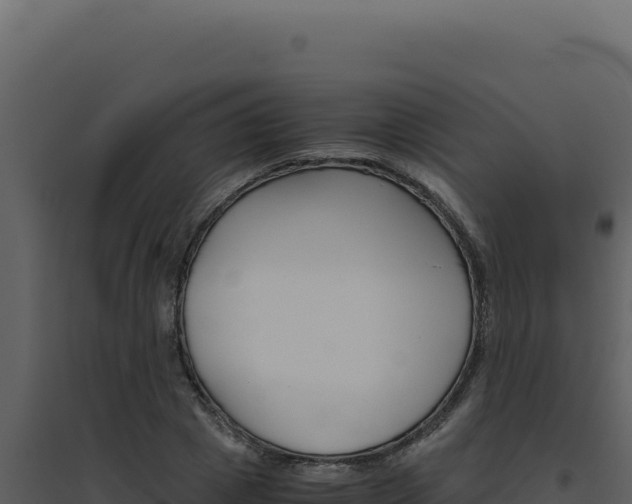 X0000094820833200711161026