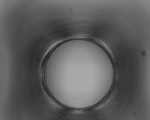 X0000094820835200711161026