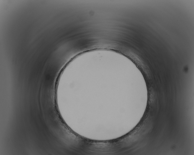 X0000094820836200711161026