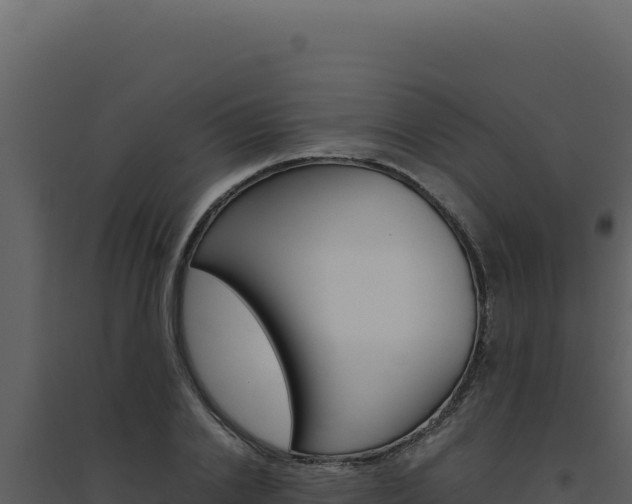 X0000094820838200711161026