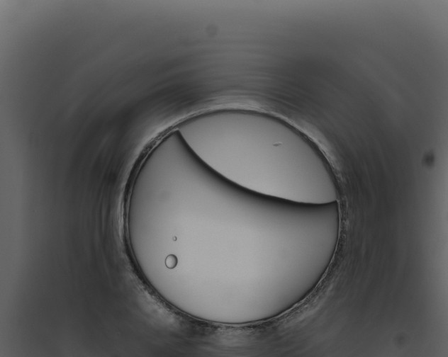X0000094820840200711161026
