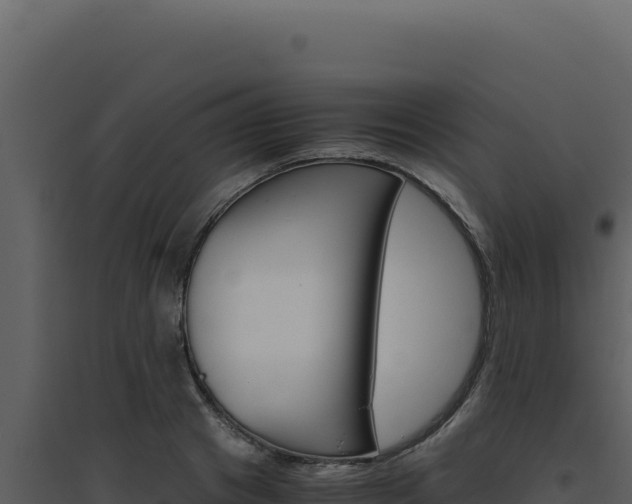 X0000094820841200711161026