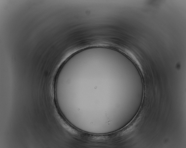 X0000094820843200711161026