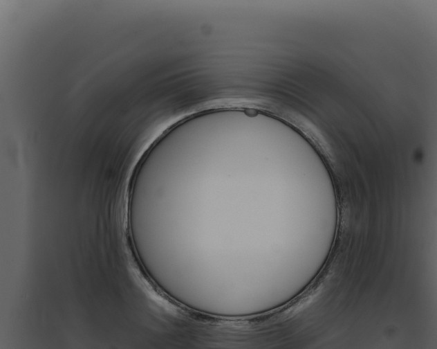 X0000094820844200711161026