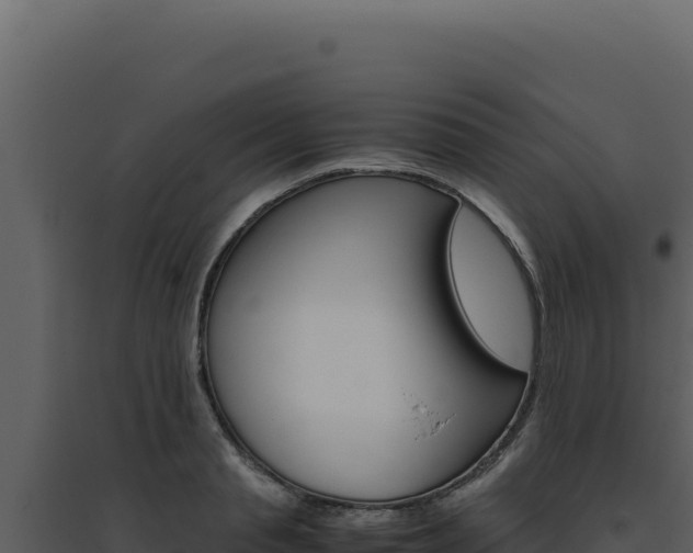 X0000094820845200711161026
